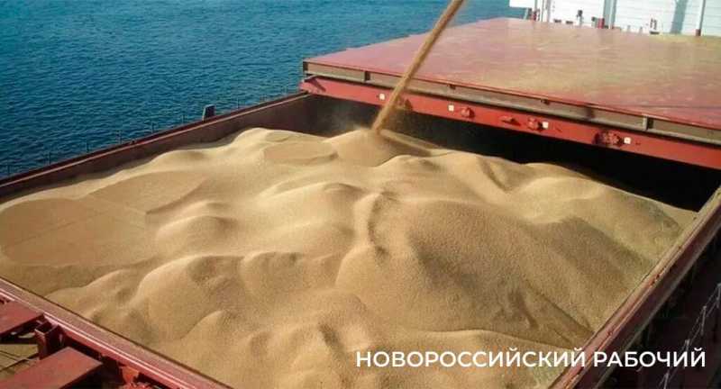 53 миллиона тонн зерна перед отправкой за границу проверили в Новороссийске