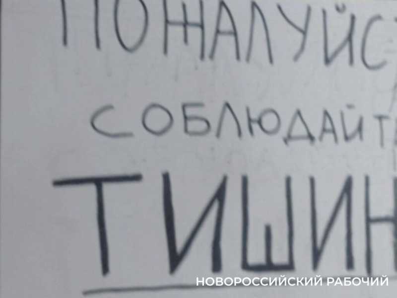 Буйного, Ряженку и Пирожка в Новороссийском штабе по спасению птиц откармливают жуками