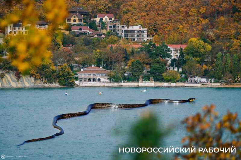 Дмитрий Пульс, который оживил памятники Новороссийска, может оживить и «монстров» Абрау