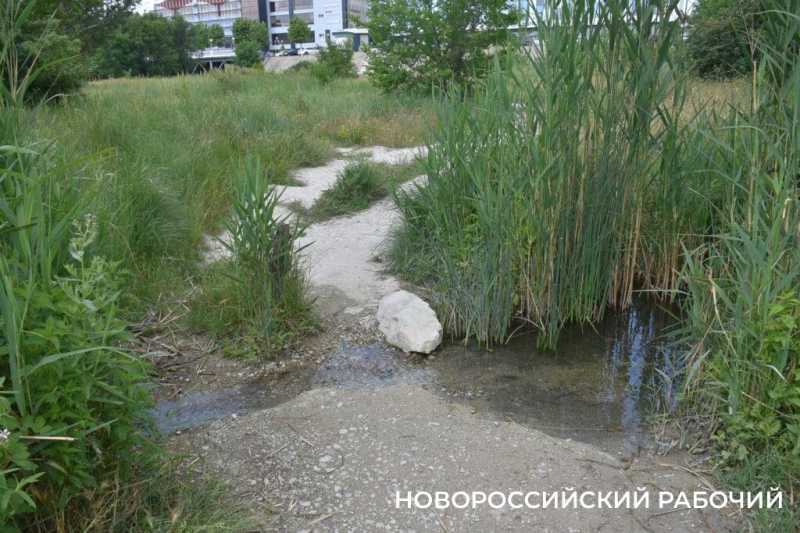 Хроника високосного года. Новороссийск. Ноябрь 2024