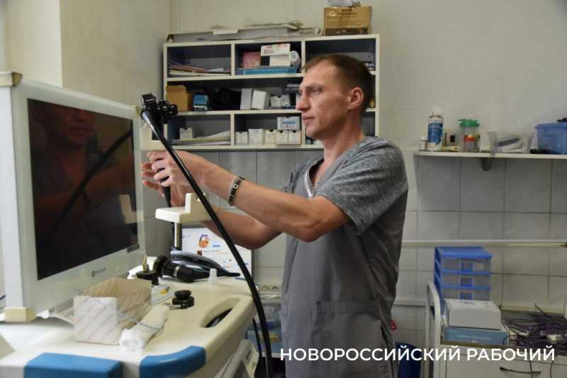 Иголки с нитками, щебень, шишки и беруши. В Новороссийске ветврачи создали мини-музей предметов, которые «едят» собаки и кошки