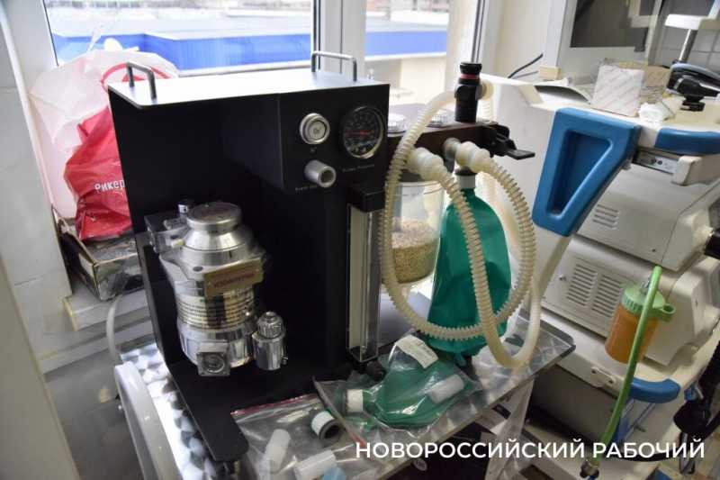 Иголки с нитками, щебень, шишки и беруши. В Новороссийске ветврачи создали мини-музей предметов, которые «едят» собаки и кошки