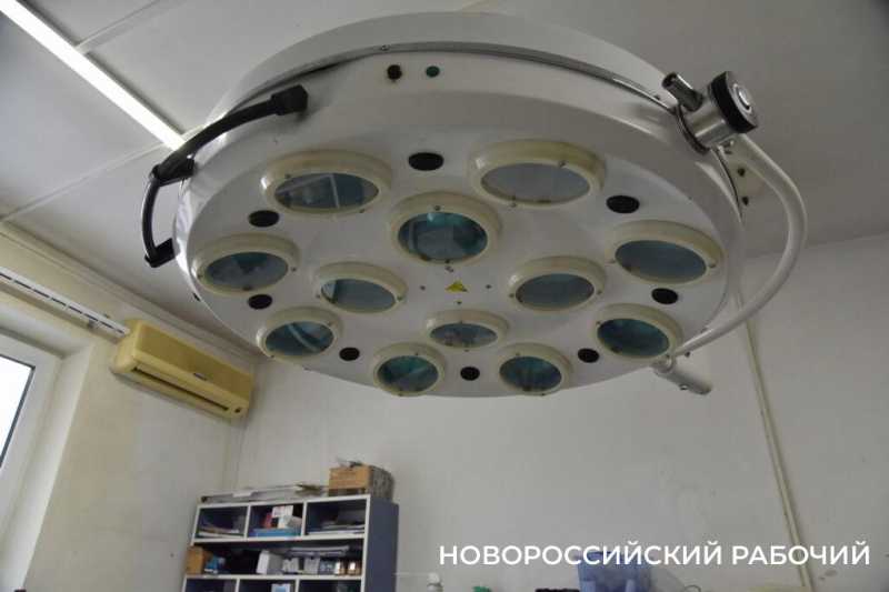 Иголки с нитками, щебень, шишки и беруши. В Новороссийске ветврачи создали мини-музей предметов, которые «едят» собаки и кошки
