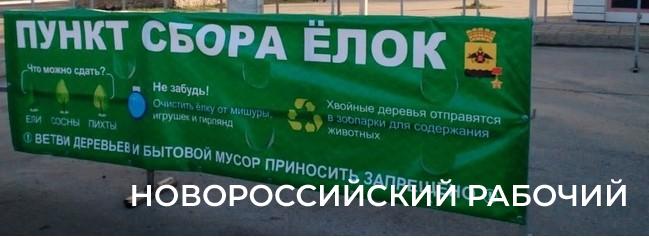 Куда новороссийцам девать живые елки после Нового года?