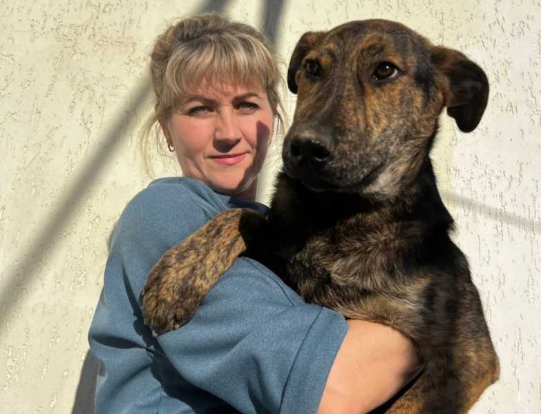 Малыш спасся, потому что лежал на умершем брате. история спасения щенка из Новороссийска