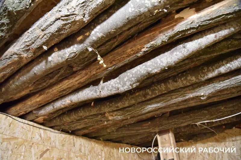 Новороссийцы передали на фронт обогреватели, термобелье, инструменты и свежие номера «Новороссийского рабочего»