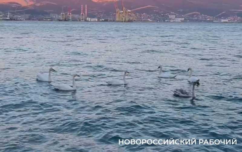 Новороссийск в моменте. Горпляж