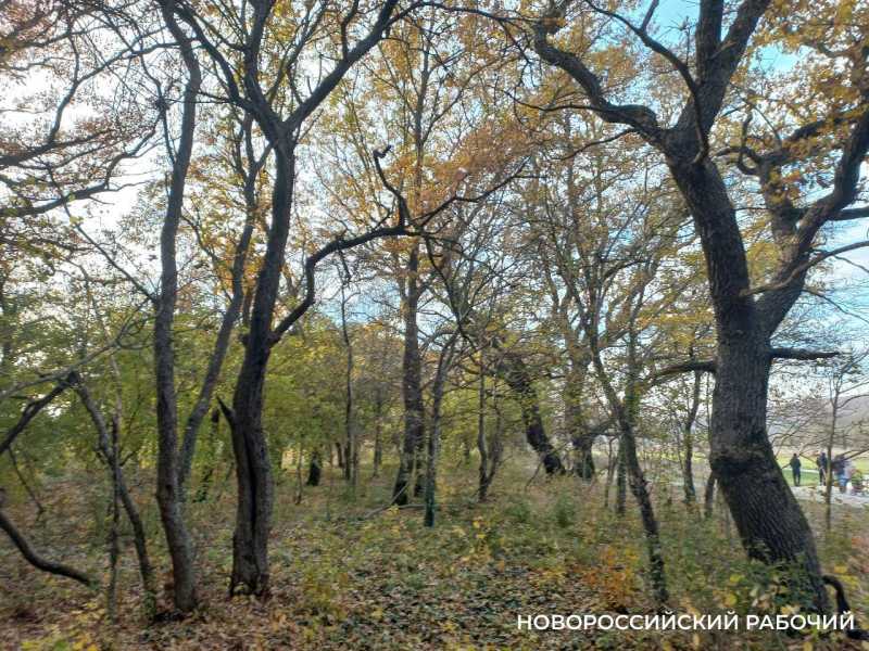 О лотерее, женских автогонках и волшебном слове «спасибо»: советы дня от «НР»