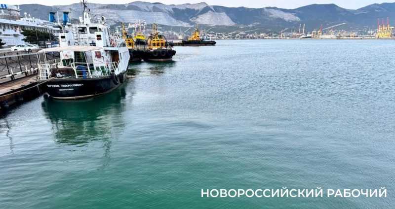 О пересечении Рубикона, танцах пингвинов и имбирном прянике: советы дня от «НР»