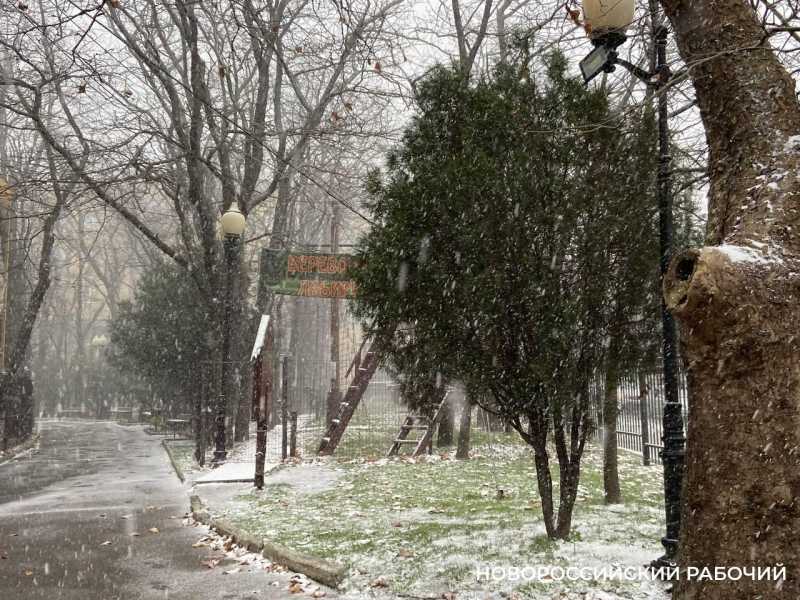 О причудливых диетах, наставниках, творчестве и вдохновении: советы дня от &laquo;НР&raquo;