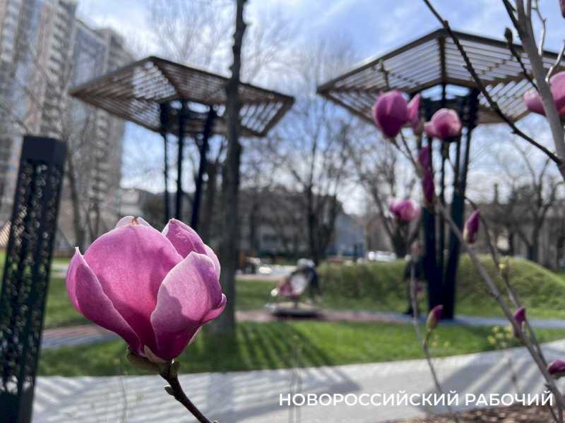 О запрете клонирования, похищениях и усердной работе: советы дня от «НР»