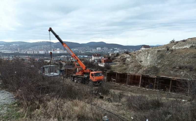 Окраина Новороссийска приютила бездомных собак. Почему местные против?