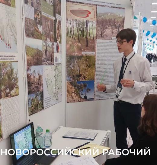 После пожаров для сосен в Новороссийске не все потеряно! Всеволод Недельский это доказал и стал суперфиналистом конкурса «Ученые России»