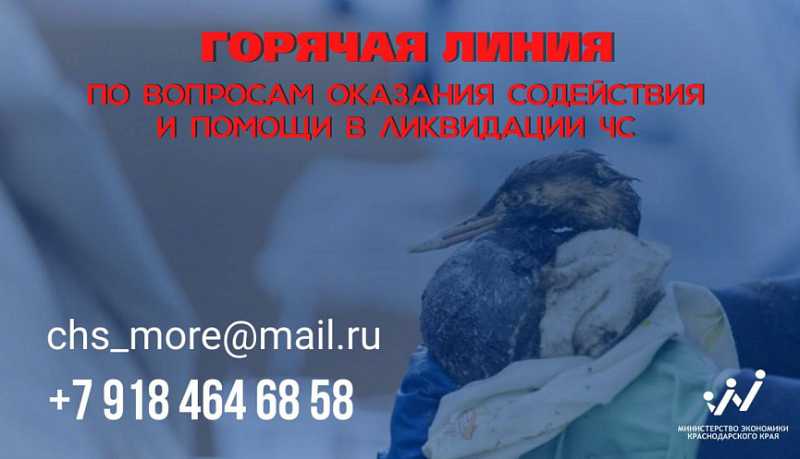 Продолжается работа «горячей линии» для бизнеса по вопросам ликвидации ЧС на Черноморском побережье