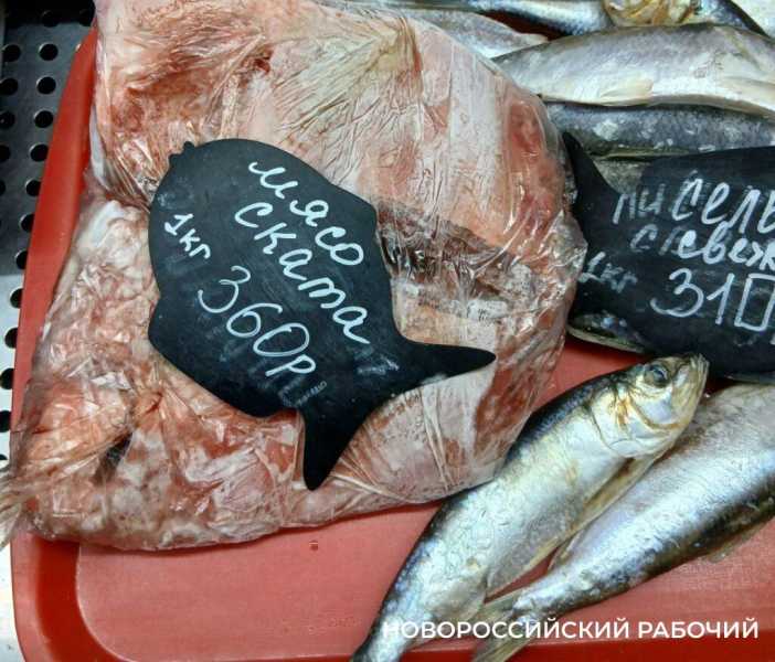 В Новороссийске черноморская рыба после ЧС в Анапе почти не подорожала. А мазута не наелась?