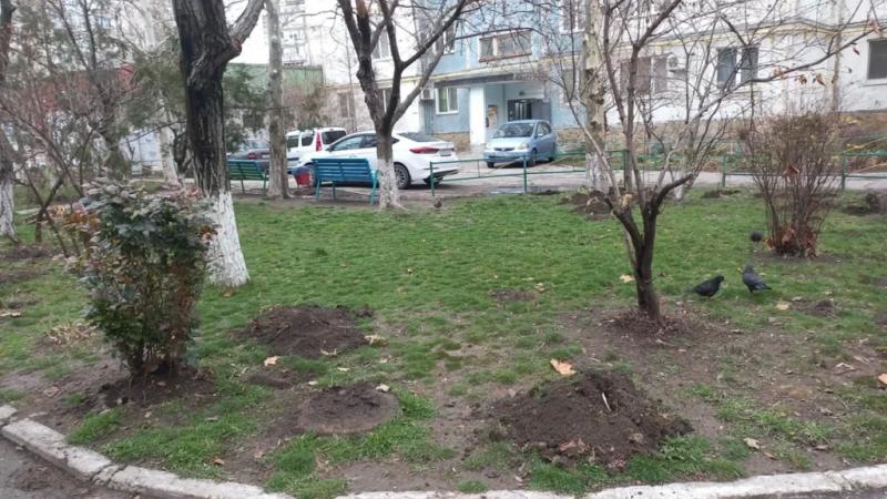 В Новороссийске дали очередной бой убогим клумбам из бу покрышек