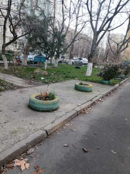 В Новороссийске дали очередной бой убогим клумбам из бу покрышек