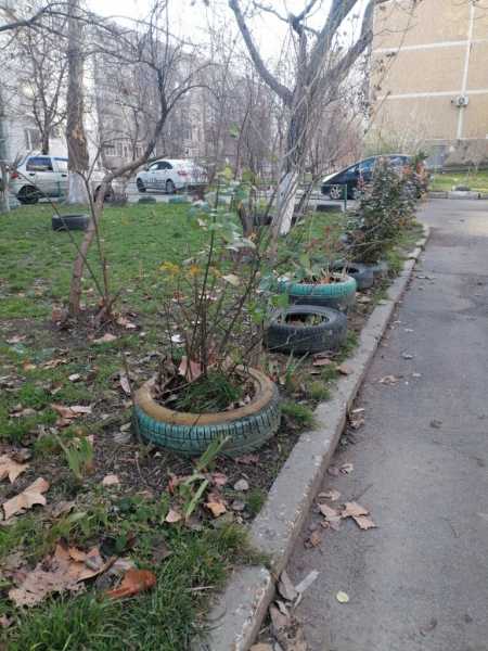 В Новороссийске дали очередной бой убогим клумбам из бу покрышек