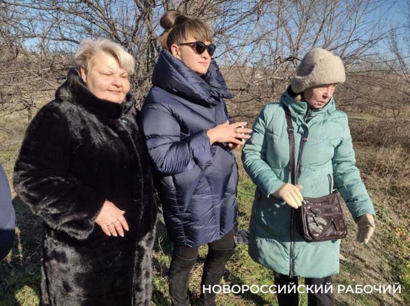 В Новороссийске подрядчик из Перми готов начать чистку Южных прудов. Это вообще законно?