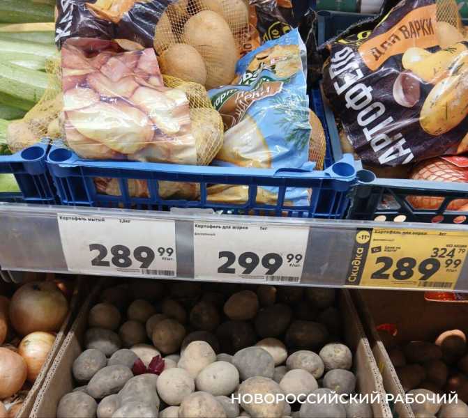 В Новороссийске предлагают картошку по 160 рублей за килограмм