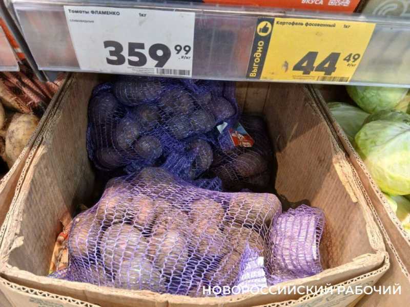 В Новороссийске предлагают картошку по 160 рублей за килограмм