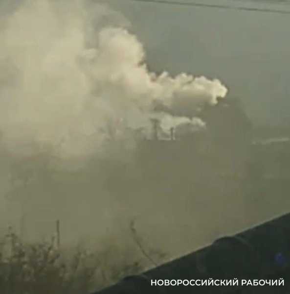 В Новороссийске снова жалуются на вонючий дым &ndash; сжигают трупы бездомных животных