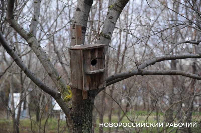 В Новороссийске у моря появится «Сердце города»