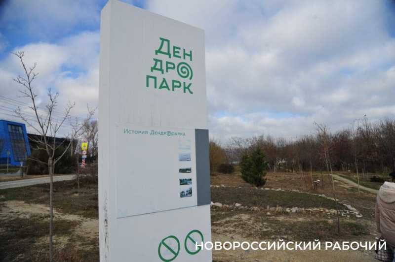 В Новороссийске у моря появится «Сердце города»