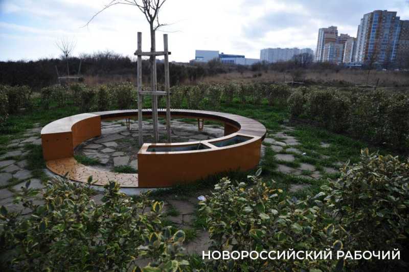 В Новороссийске у моря появится «Сердце города»