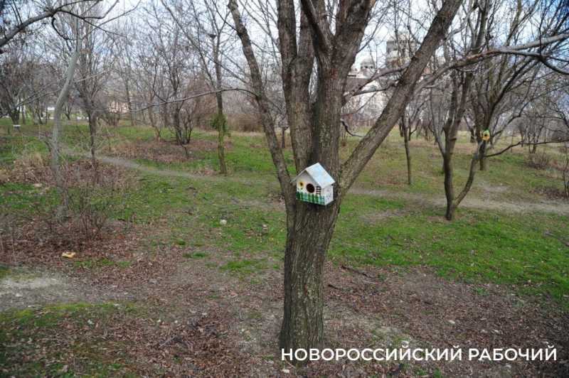 В Новороссийске у моря появится «Сердце города»