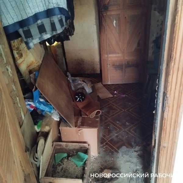 В Новороссийске в квартире пенсионера в 15 кошками горел «вечный огонь», который мог взорвать весь дом. Подробности шок-истории
