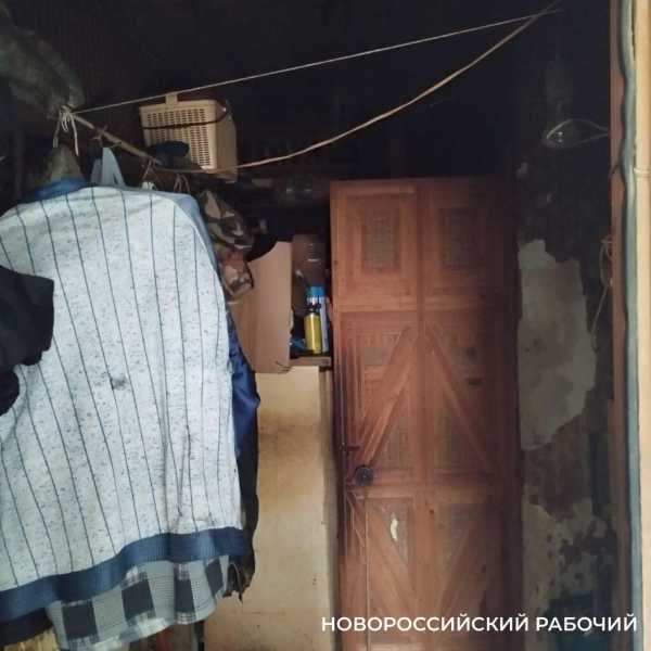 В Новороссийске в квартире пенсионера в 15 кошками горел «вечный огонь», который мог взорвать весь дом. Подробности шок-истории