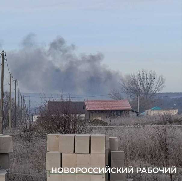 В пригороде Новороссийска сжигали павших кур – жители жалуются на едкий дым