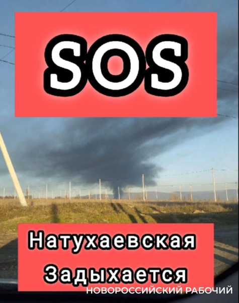 В пригороде Новороссийска сжигали павших кур – жители жалуются на едкий дым