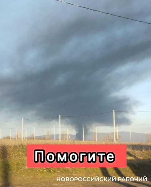 В пригороде Новороссийска сжигали павших кур – жители жалуются на едкий дым