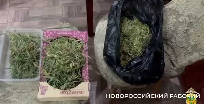 Житель Новороссийска может сесть на 10 лет за 860 граммов марихуаны