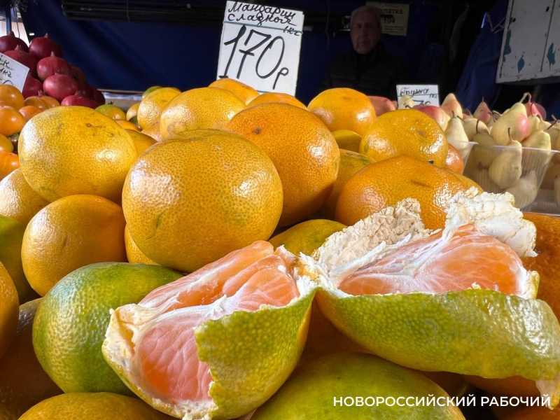 До прилавков не дойдет 441 тонна цитрусовых &mdash; Новороссийск не пропустил экспортные грузы