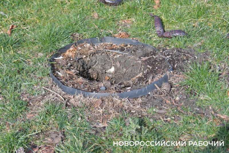 Глава Новороссийска потребовал привести парк Фрунзе в порядок. Парк передадут новому хозяину