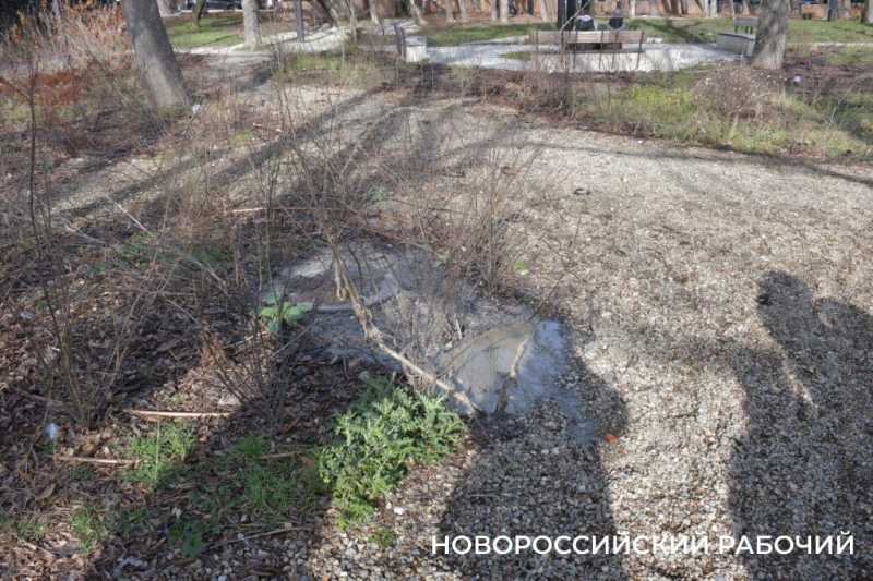 Глава Новороссийска потребовал привести парк Фрунзе в порядок. Парк передадут новому хозяину