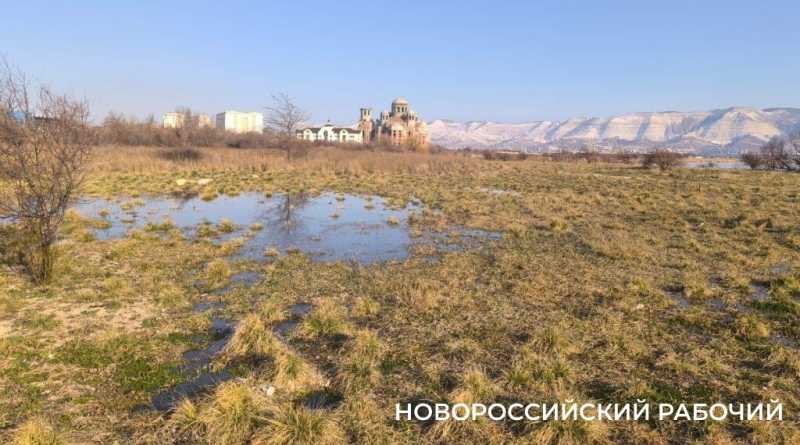 Канализация заливает особо охраняемую природную территорию в Новороссийске