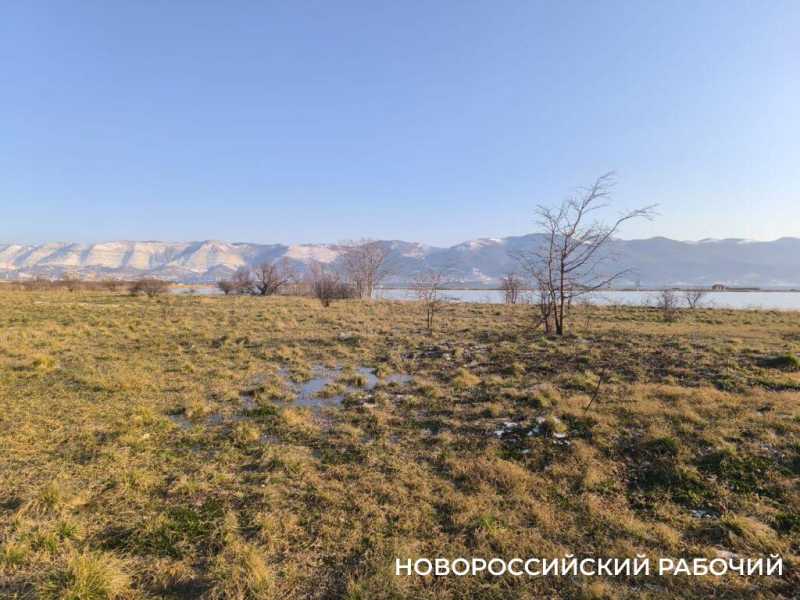 Канализация заливает особо охраняемую природную территорию в Новороссийске