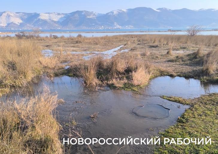 Канализация заливает особо охраняемую природную территорию в Новороссийске