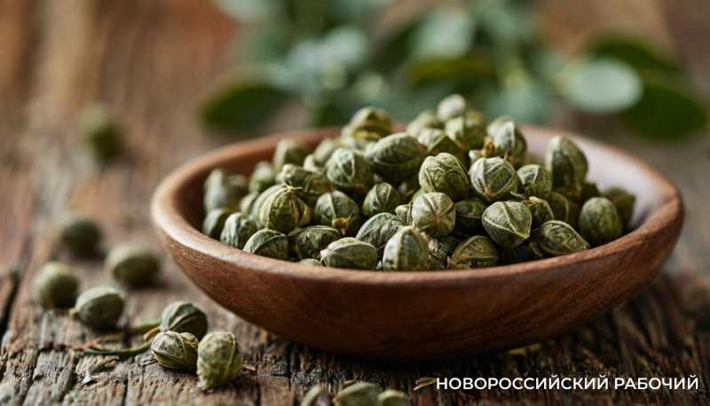 Каперсы: чем полезны, кому вредны, как выбрать?