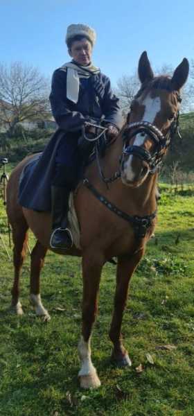 Казак из Новороссийска спасает от исчезновения уникальную донскую породу лошадей