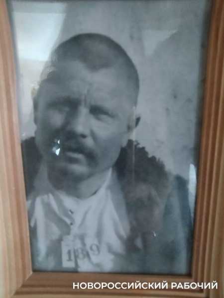 Казак из Новороссийска спасает от исчезновения уникальную донскую породу лошадей