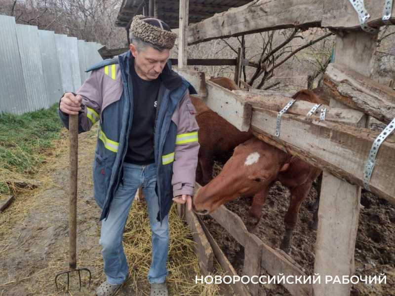 Казак из Новороссийска спасает от исчезновения уникальную донскую породу лошадей