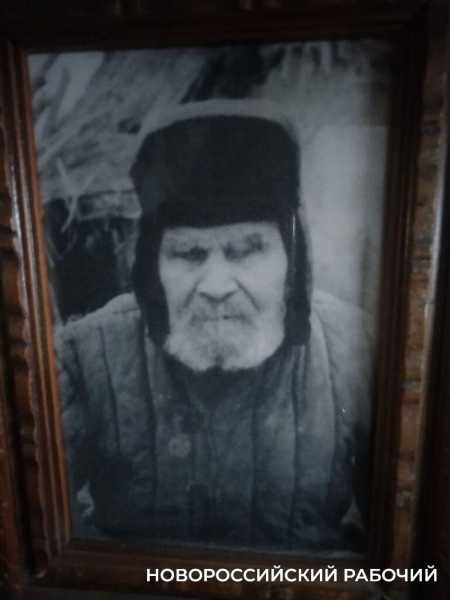 Казак из Новороссийска спасает от исчезновения уникальную донскую породу лошадей