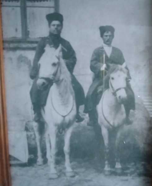 Казак из Новороссийска спасает от исчезновения уникальную донскую породу лошадей