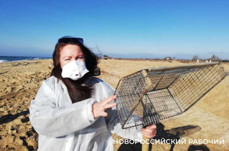 Каждый день, в 7 утра, из Новороссийска выезжают «охотники за мазутом» 