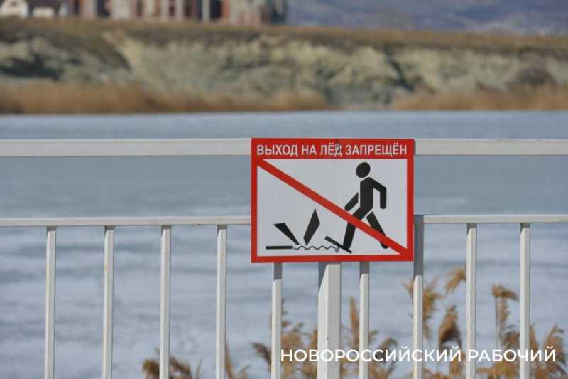 «Море в Новороссийске НЕ ЗАМЕРЗЛО»! Местные смеются над фейками, которые завирусились в сети